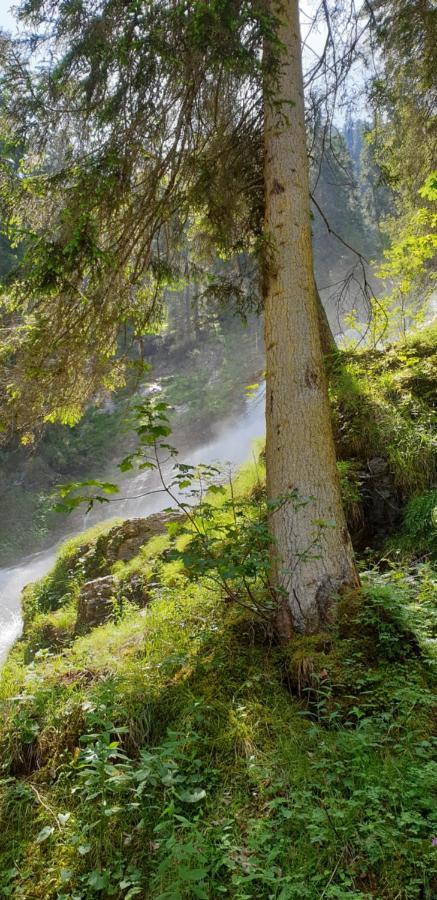 Wettermatte Villa Kiental Exteriör bild